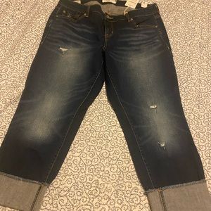 Torrid Jeans - Brand New